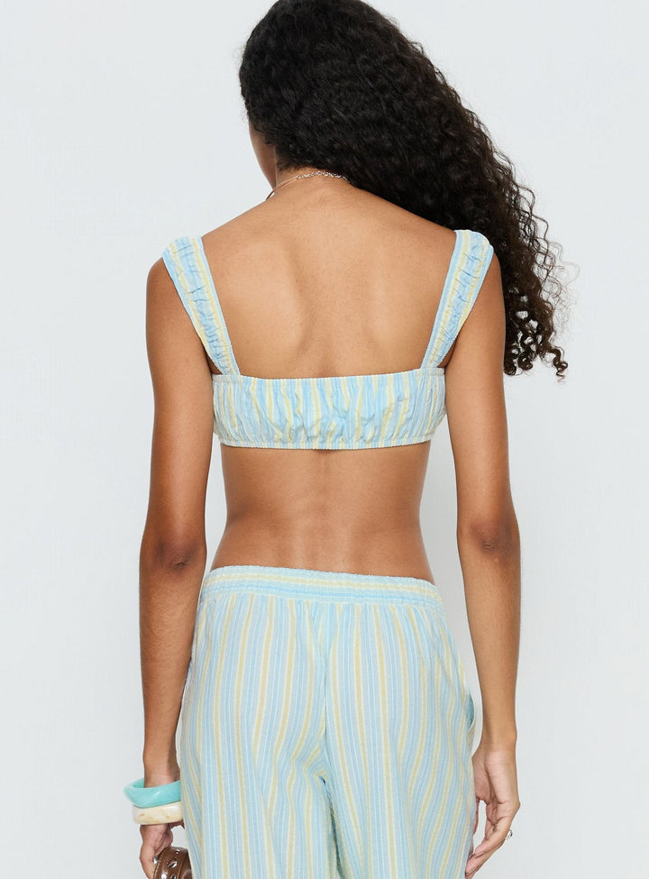 Ava Stripe Micro Crop Top